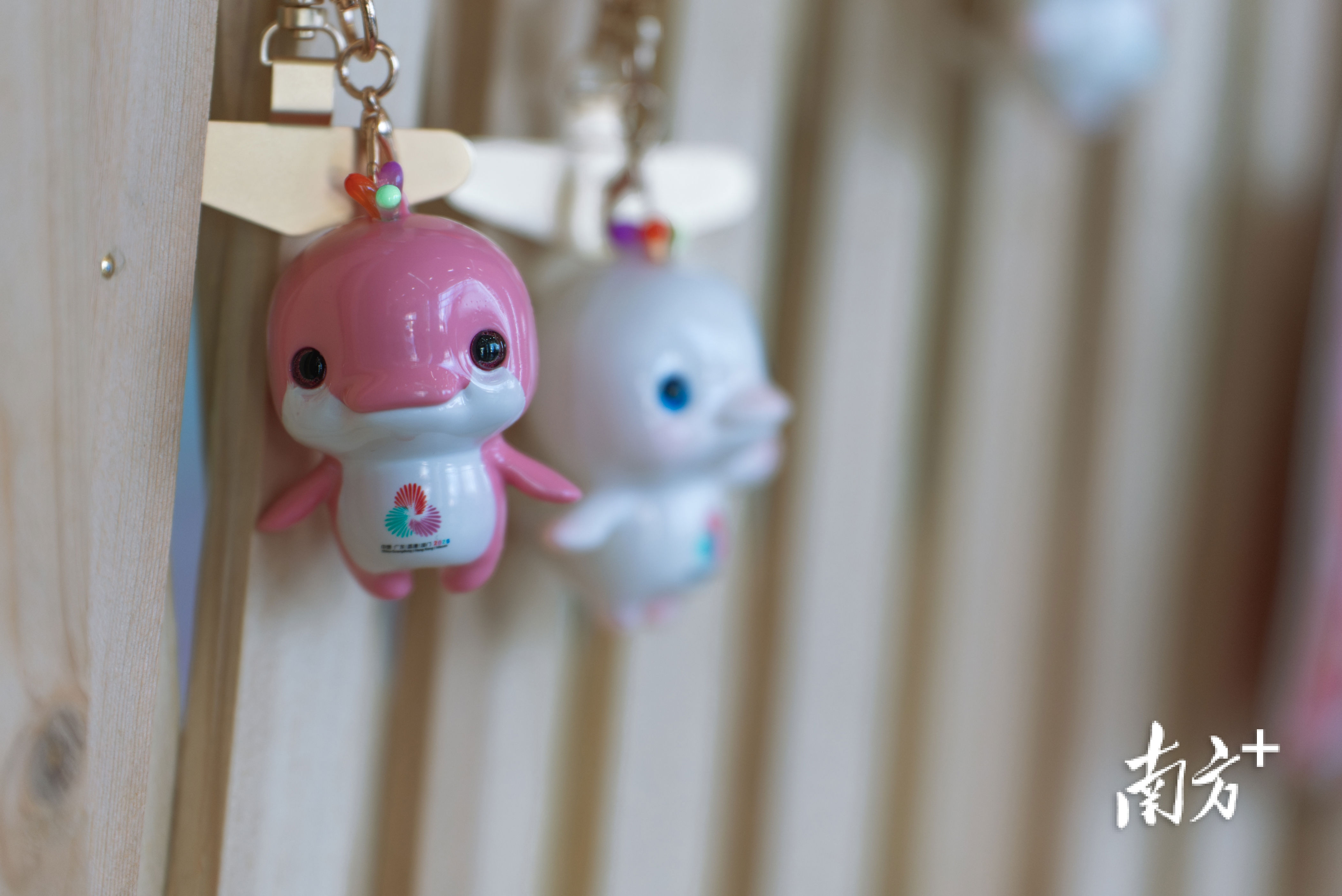 级别中, 提供酒店接