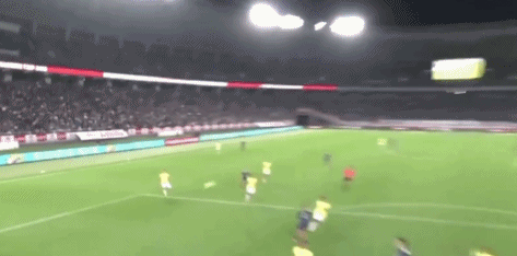 net, ws, dingy net, ws, dingy