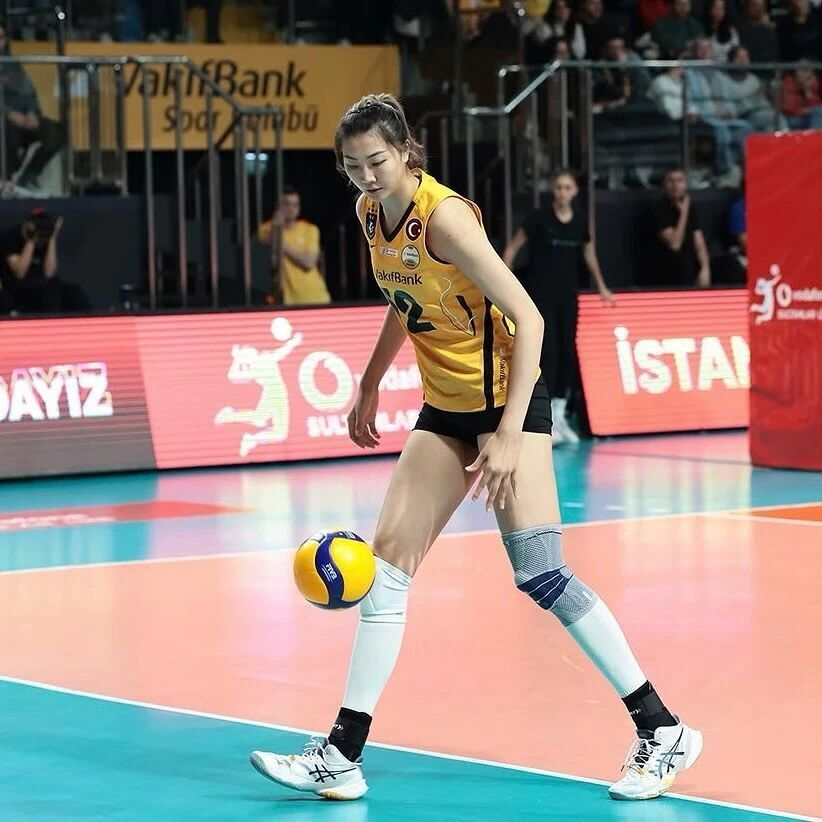 女排成年组 女排成年组